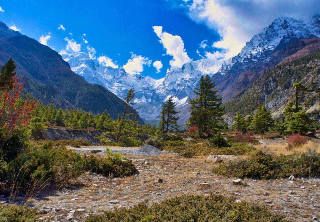 treking in nepal